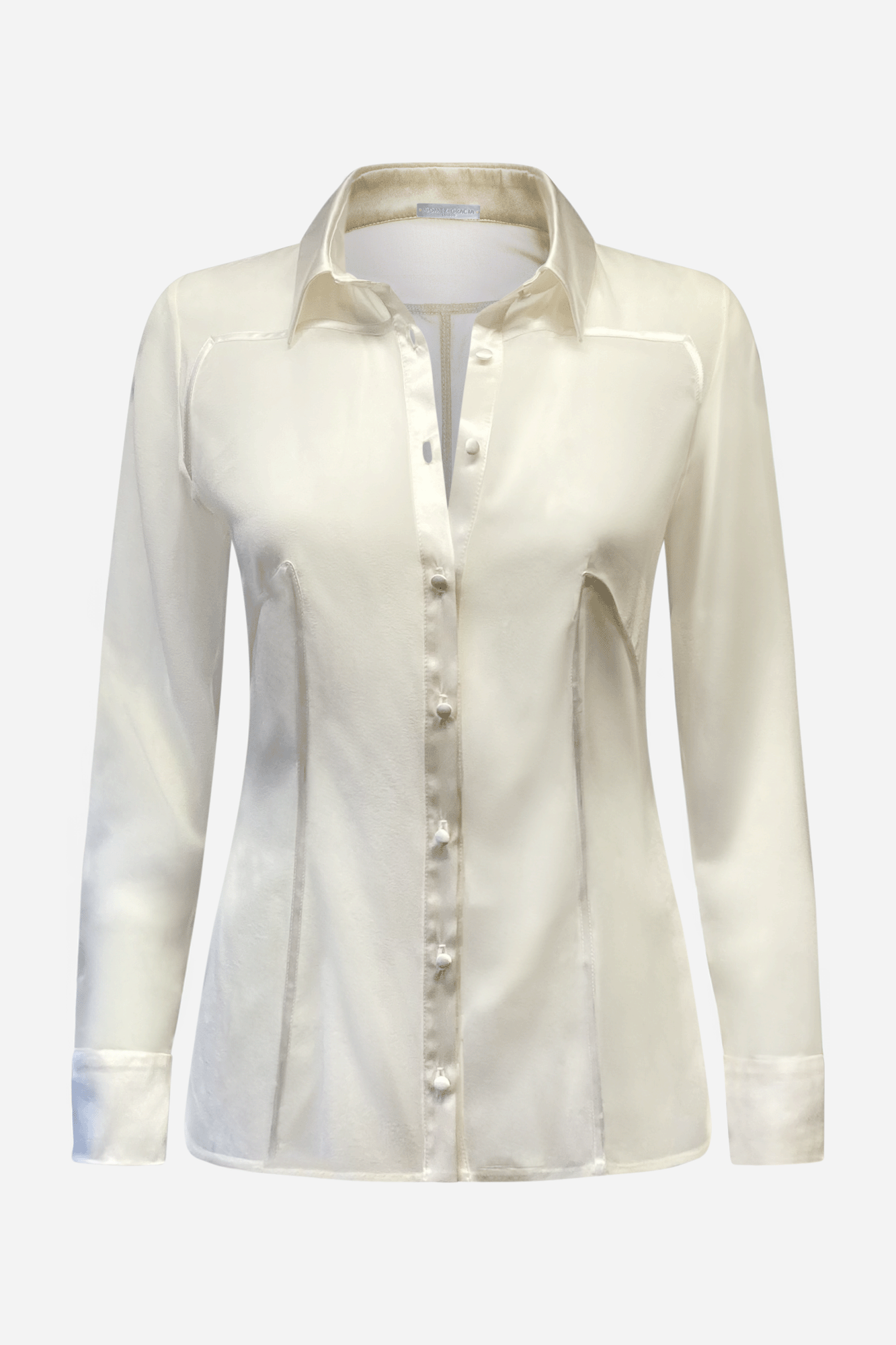 Silk Long Sleeve Button up Shirt